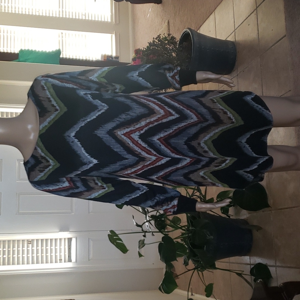 Blue Sage 6 long sleeve shift dress multicolored zigzag